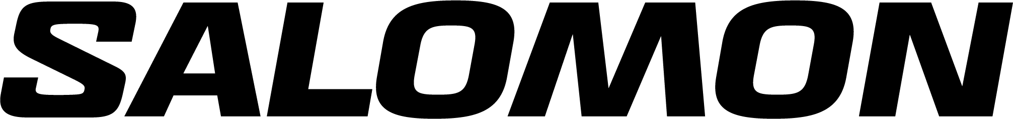 Salomon logo